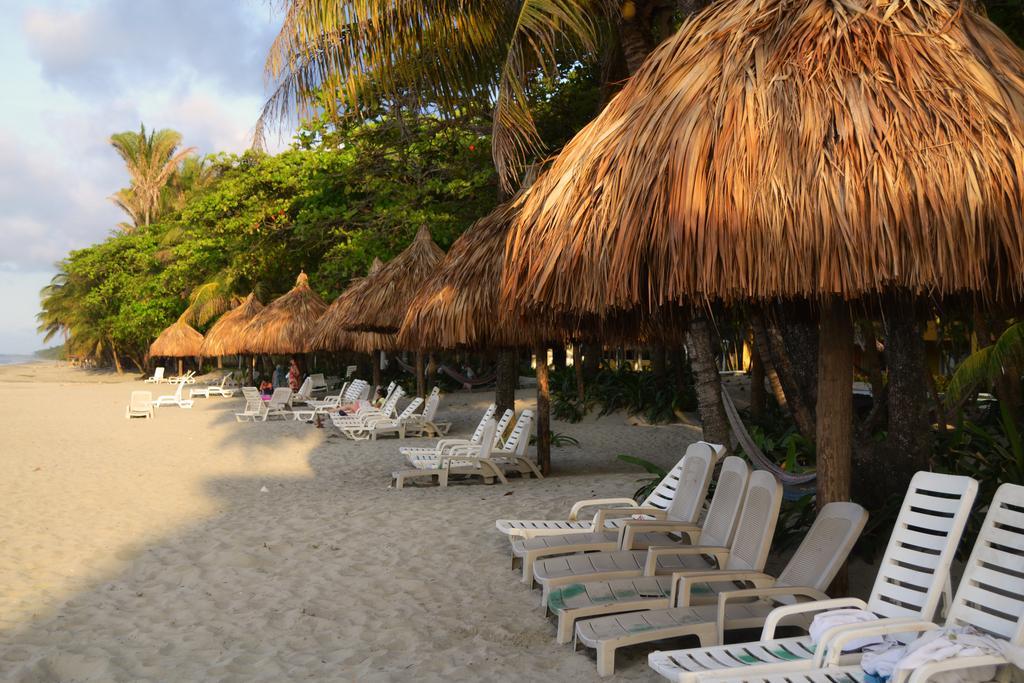 Hotel Palma Real Sambo Creek المظهر الخارجي الصورة