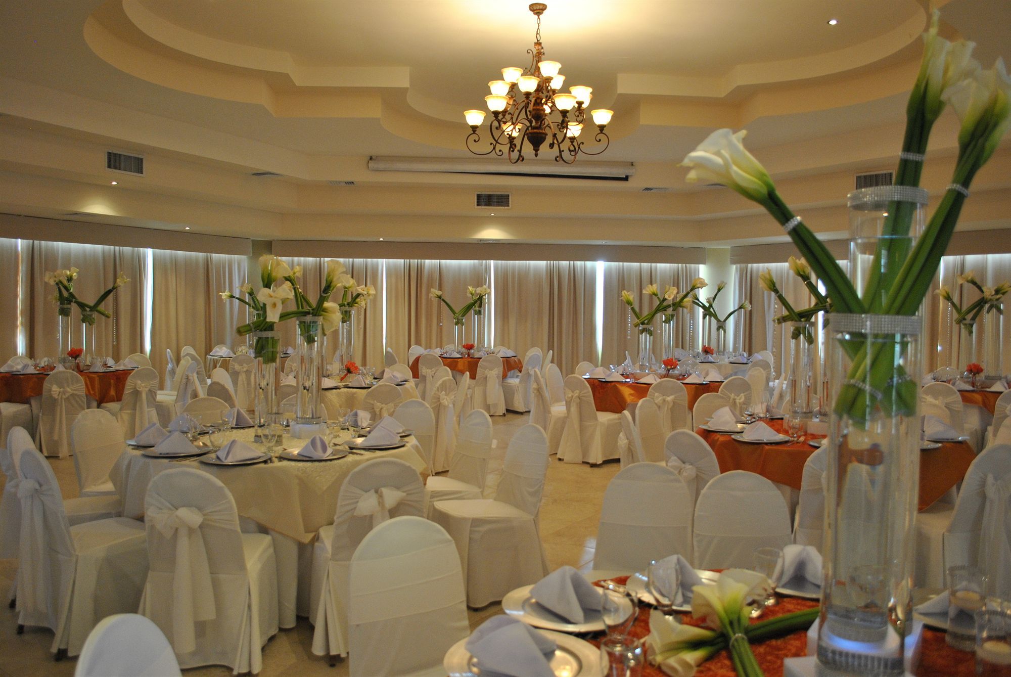Hotel Palma Real Sambo Creek المظهر الخارجي الصورة
