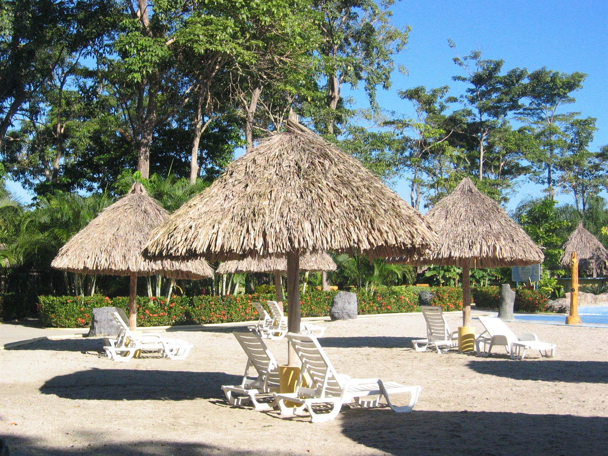 Hotel Palma Real Sambo Creek المظهر الخارجي الصورة